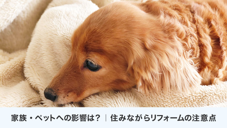 家族・ペットへの影響は？｜住みながらリフォームの注意点